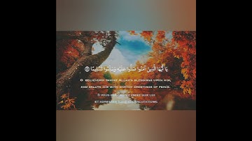 القارىء ماهر عرار ❤ حالات واتس اب قران كريم ❤ تلاوة خاشعة 💙 Quran Status 💜 اية قرانية قصيره