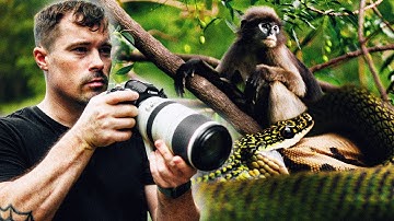 I Tried Filming Wild Snakes — Here’s What Happened
