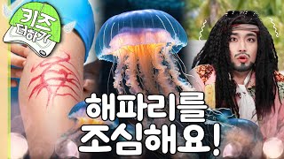 [EBS놀이터] 해파리바닷가에서 조심 또 조심!우리 몸 X파일최고다! 호기심 딱지EBS키즈