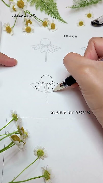 How I Draw Florals | Chamomile step by step guide - YouTube