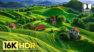 The Ultimate 16K Hdr Dolby Vision At 240 Fps 8K 4K Video Tv Test