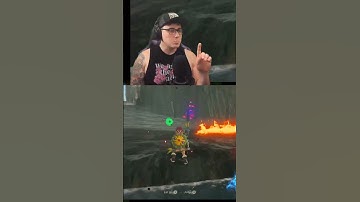 BOTW doing me DIRTY #shorts #botw #twitch #clips #stream #streamer #zelda  #onelinederek #gaming