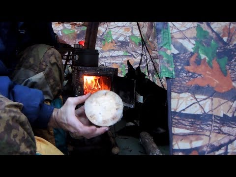 Кашеварка для свиней фото 77