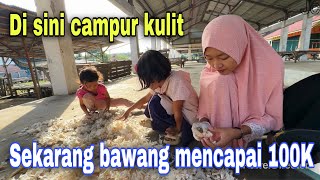 Download Lagu HARGA BAWANG MENCAPAI 100K⁉️ ALHAMDULILLAH MASI DI BERI GRATIS MP3 Download Lagu HARGA BAWANG MENCAPAI 100K⁉️ ALHAMDULILLAH MASI DI BERI GRATIS MP3