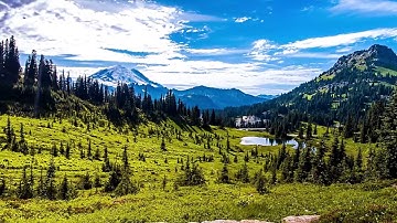 سورة - ابراهيم / القارئ / الشيخ نايف الفيصل