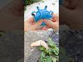 Bug Insect Names for Kids to Learn in the Snow: Dragonfly Slug Millipede Ant Praying Mantis