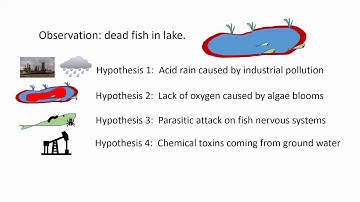 5  John Platt and Multiple Hypotheses