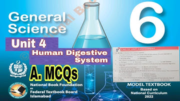 Class 6 science chapter 4 | human digestive system | MCQs | science class 6 chapter 4| ilmi darasgah