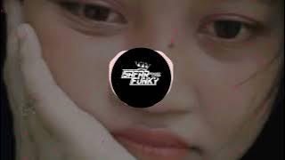 DJ ABG TUA MASHUP X ADUH ADUH CANTIKNYA VIRAL TIKTOK