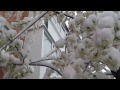 Снегопады в апреле 2017  Без слез больно глядеть!