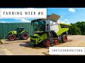 Farming Week #6 | Erntevorbereitung