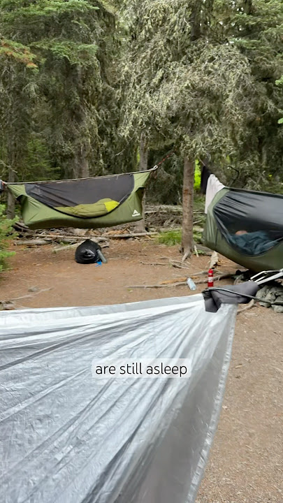 The “Sleep In” Hammock
