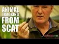 Animal Tracking from Scat