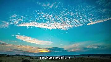 تلاوه رهيبه - سورة القلم- صوت هادئ وجميل Sura Al Qálam El Cálamo con voz calma, bonita y prote