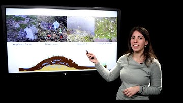 Permafrost: The thawing carbon storage