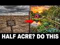 9 Animals That Transform a Half Acre Into a Self-Sustaining Homestead