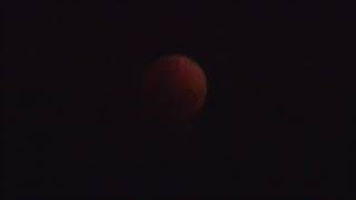 (View from home) Super Blue Blood Moon - 31 Jan 2018 (Singapore)