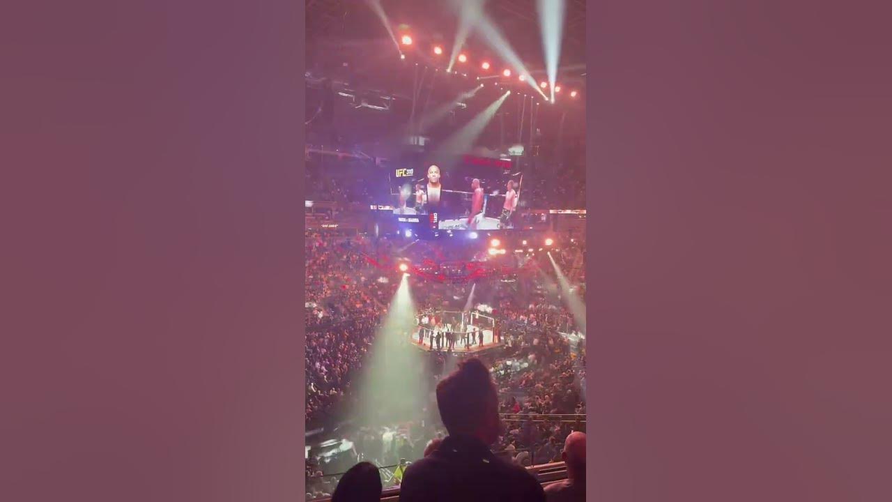 UFC December 7, 2025 live from Las Vegas!! YouTube