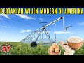 PERTANIAN WIJEN MODERN DI AMERIKA | MESIN MODERN PERTANIAN PEMANEN DAN PENGOLAHAN WIJEN