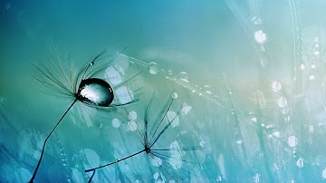 Tape Loop Orchestra - Go Straight Towards The Light