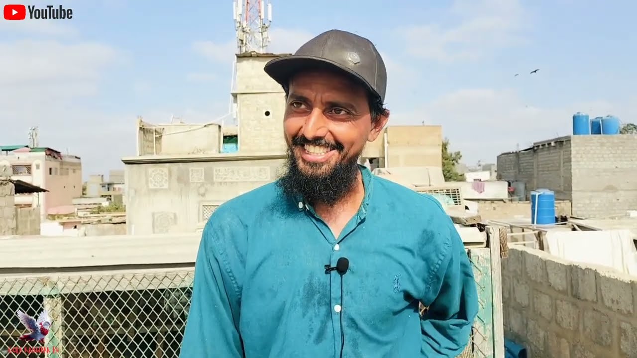 Alhamdulillah 80 Kabutar Ki New Kabutar Ki Entry 