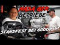 Getriebe - Standfest bei 6000PS? Teil 2 - Materialmord GTR I RD48