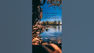 ويسألونك عن الروح/سورة الإسراء/محمد نجاح