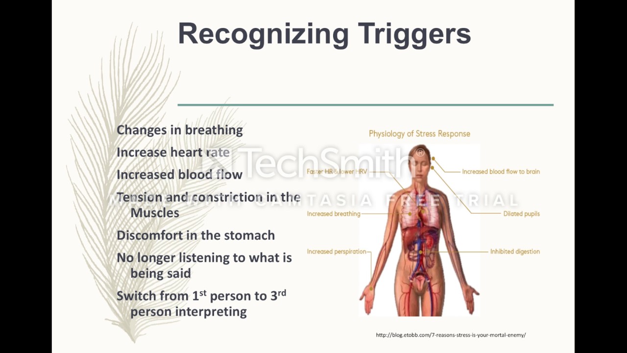 What Is Vicarious Trauma