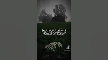 القارئ الليبي صلاح الباجي #اكسبلور #راحة_نفسية