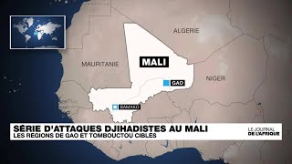 Série d'attaques djihadistes au nord du Mali • FRANCE 24