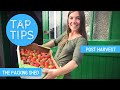 TAP TIPS - POST HARVEST: The Packing Shed