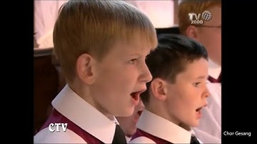 Thumbnail of Westminster Cathedral Choir @ Pope Benedict XVI Holy Mass at Westminster Cathedral (18.09.2010)