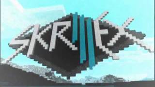 Miniatura del video "Skrillex - Needed Change ft. 12th Planet"
