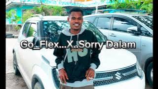Rmx🇵🇹_-_Go-Flex_x_Sorry Dalam Dalam 2025🌴🌴🎧
