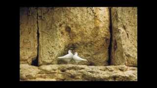 Video-Miniaturansicht von „Shir LaShalom English subtitles שיר לשלום“
