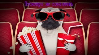 Фильмы которые должен посмотреть каждый!!! Фильмы которые должен посмотреть каждый!!!