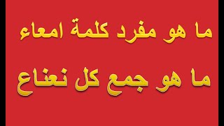 مفرد كلمة امعاء وجمع كلمة نعناع