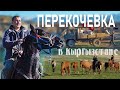 КАК КЫРГЫЗЫ КОЧУЮТ. гоним табун на жайлоо