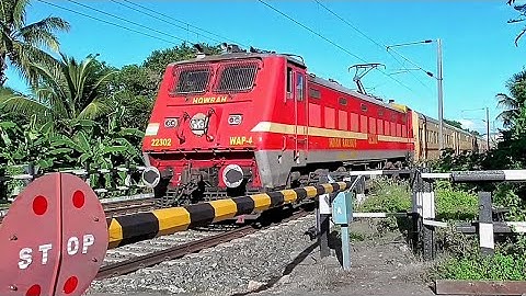 Shining Stormy Speedy Red Beast WAP-4 Loco Skip Between Railgate with Malda Intercity & Azimganj Exp