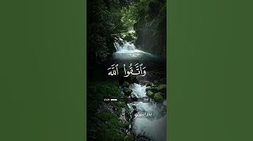 قرآن كريم | سورة آل عمران - آية 200 | بدر التركي
