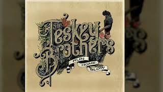 Video thumbnail of "The Teskey Brothers - That Bird"