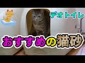 【おすすめの猫砂】猫のトイレに使用するおすすめの猫砂の紹介です  Recommended cat sand for toilet