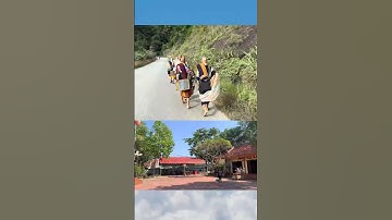 Tiến sĩ Đoàn Văn Báu chia sẻ về Thầy Minh Tuệ đang bộ hành tại Lào