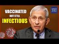 Fauci: Viral Load in Breakthrough Delta Cases ‘Almost Identical’ to Unvaccinated