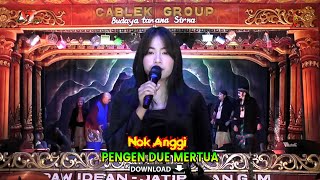 PENGEN DUE MERTUA Voc. Nok Anggi // Aneka Tunggal || Cablek Group Terbaru