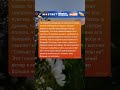 ты по-моему лишняя там была