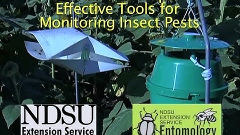 Pheromone Traps    Effective Tools for Monitoring Insect Pests