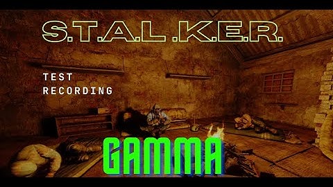 S.T.A.L.K.E.R. GAMMA - OBS Test Recording.