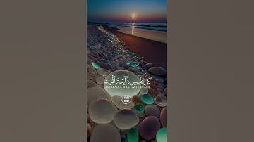 #قرآن #ارح_قلبك #راحة_نفسية #قران_كريم #اكسبلور #عبدالرحمن_مسعد #سوره العنكبوت #راحة_نفسية