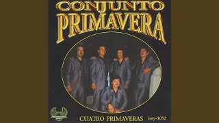 Video thumbnail of "Conjunto Primavera - Cariño Pasajero"